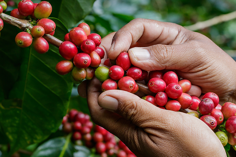 サービス事業|中西産業株式会社