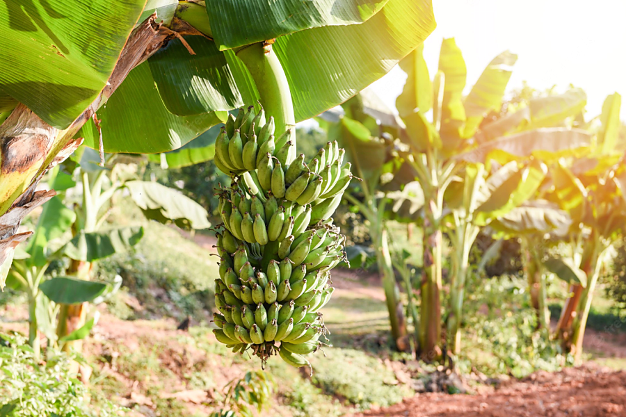 サービス事業|中西産業株式会社